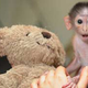 Image for article titled Your Mom Stinks